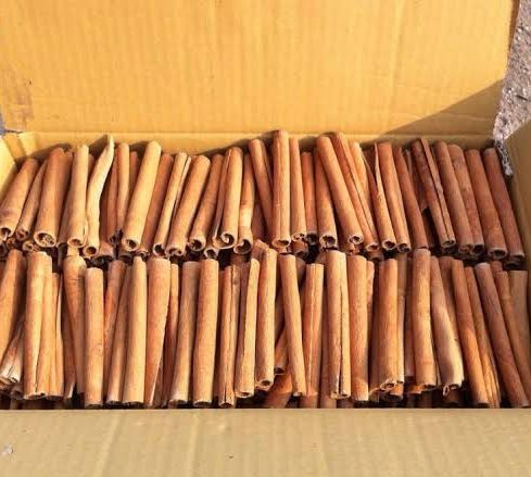 Cassia Cigarette